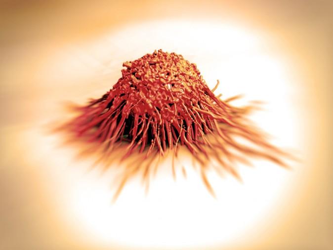 Research: Plants, Not Chemicals, Cure Cancer