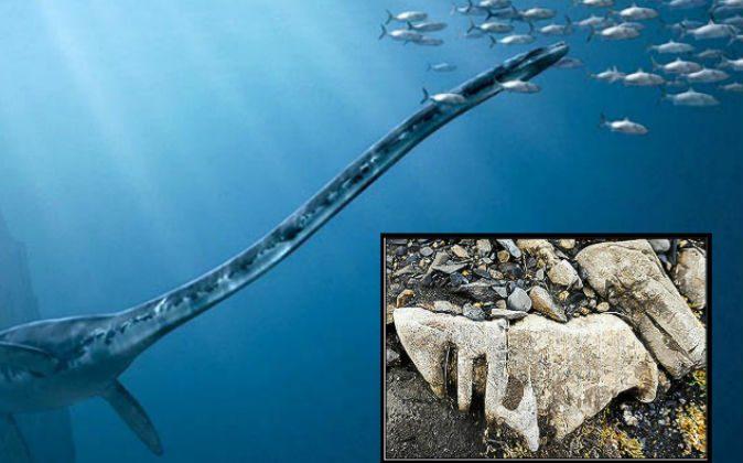 Bones From 200-Million-Year-Old Monster of the Sea Found in Russia