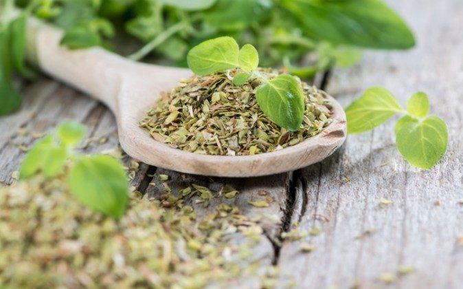 What Are the Health Benefits of Oregano?