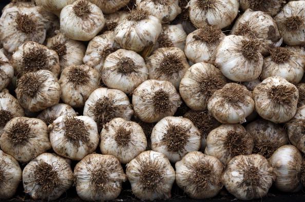 Garlic: How To Plant, Grow, and Harvest