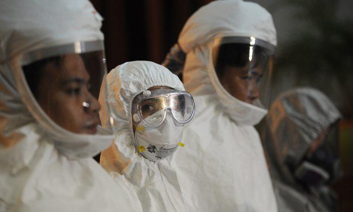 First Ebola Victim May Have Been Infected by Bats