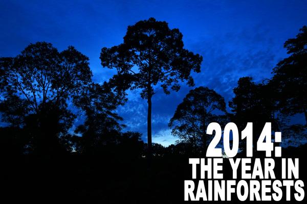 The Year of Zero Deforestation Commitments, 2014