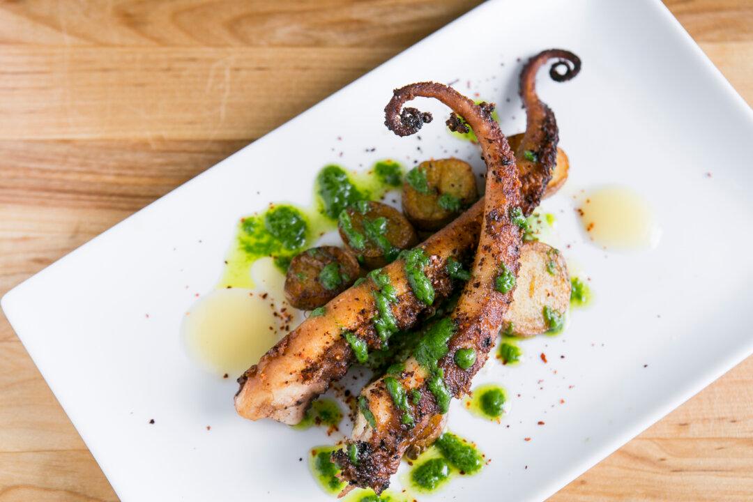 Cooklyn Grows in Brooklyn