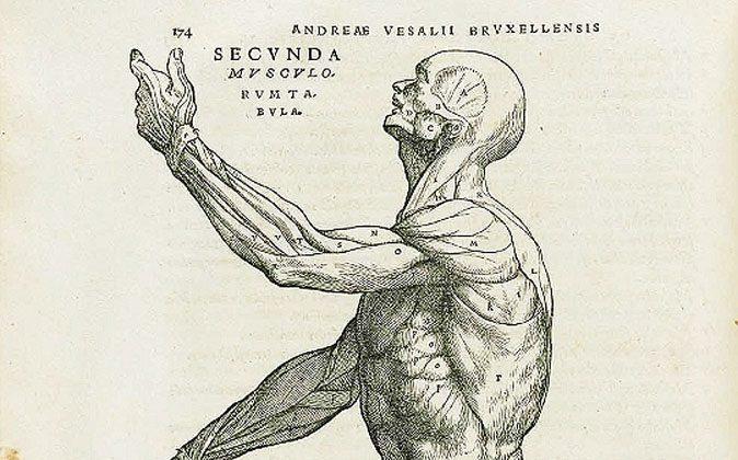 Andreas Vesalius: The Man Who Revolutionized Our Knowledge of the Human Body