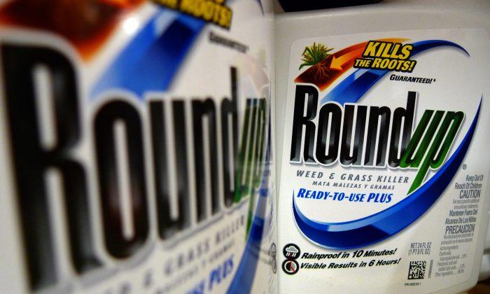 Glyphosate Causing Autism? MIT Researcher Claims Herbicide Will Cause Half of All Children to be Autistic