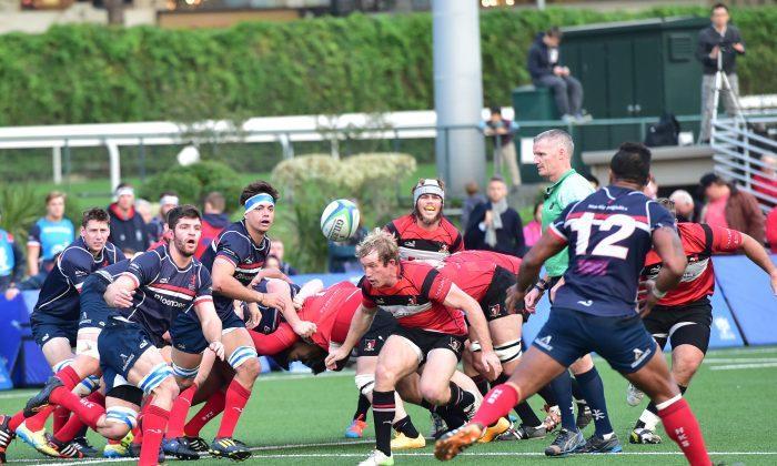 Rugby Football Premiership Heads into Last Five Matches