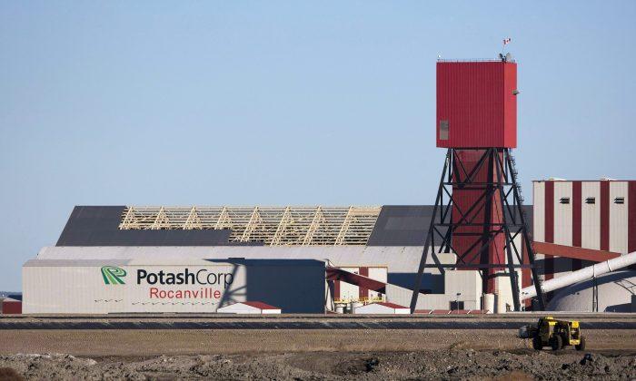 Saskatchewan’s Potash Royalty Structure ‘Alarmingly Inefficient,’ Says Report