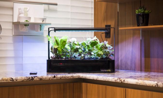 Countertop LED Grow Box Puts a Garden in Your Kitchen