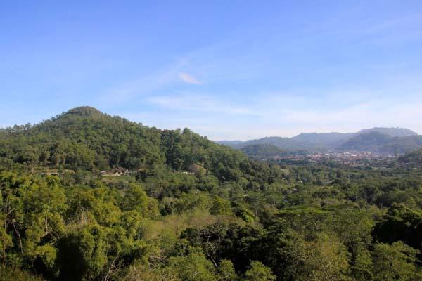 Coffee Farmers Help Protect Flores Forest