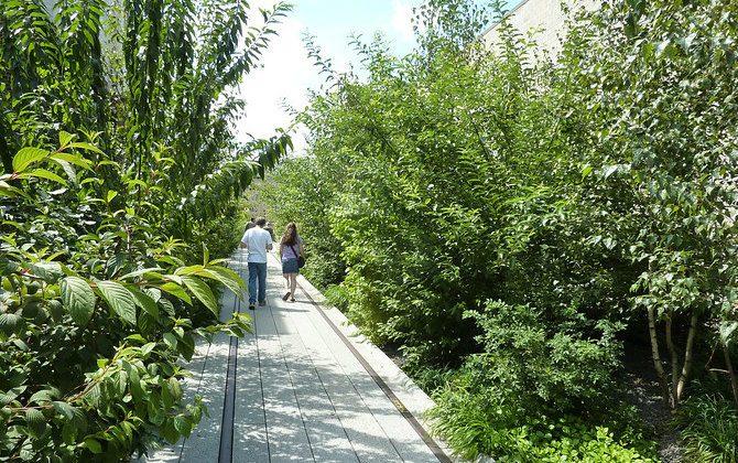 Walking the High Line – New York City