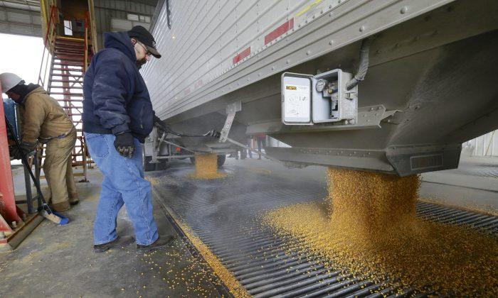 Oil Could Drive Down Ethanol Profits, but Industry Shielded