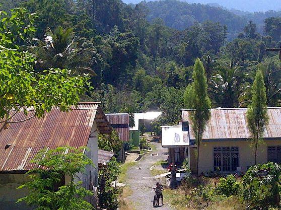 Indonesia: Sulawesi Community Regains Forest Rights