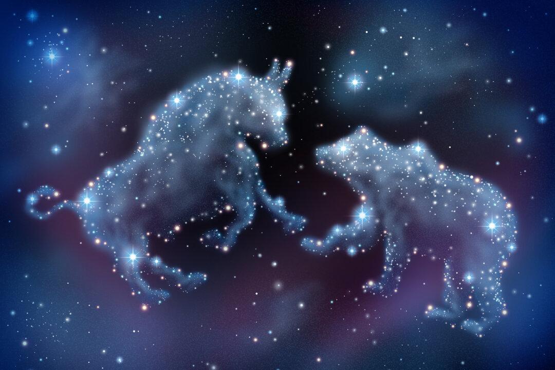 Why ‘Bottom-Up’ Investing Is Superior to ‘Top-Down’