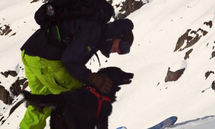 Man, Dog and Skiing in the Patagonia (Video)