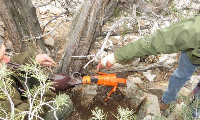 Great Basin National Park: Rifle Over 100 Years Old Found (+Photos)