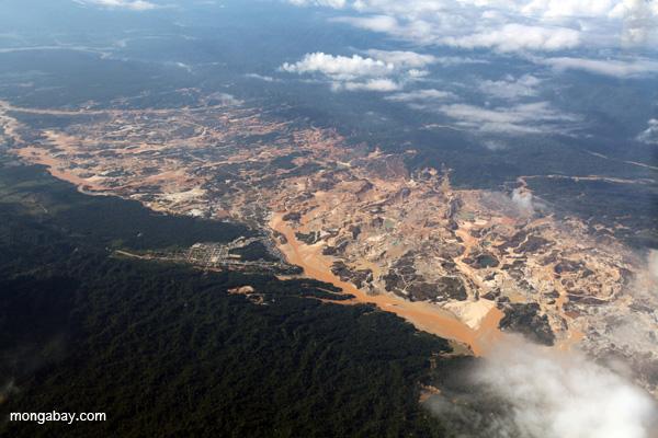 Amazon Gold Rush Destroying Huge Swaths of Rainforest