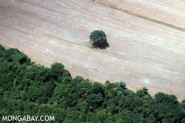 Amazon Tribe Attacks Oilfield in Ecuador