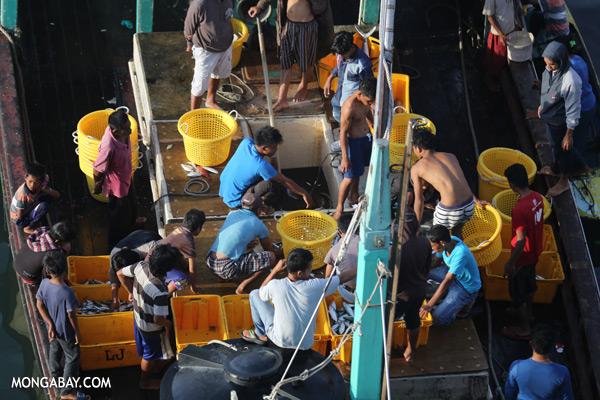 Fishing Industry Hit Hard by Climate Change