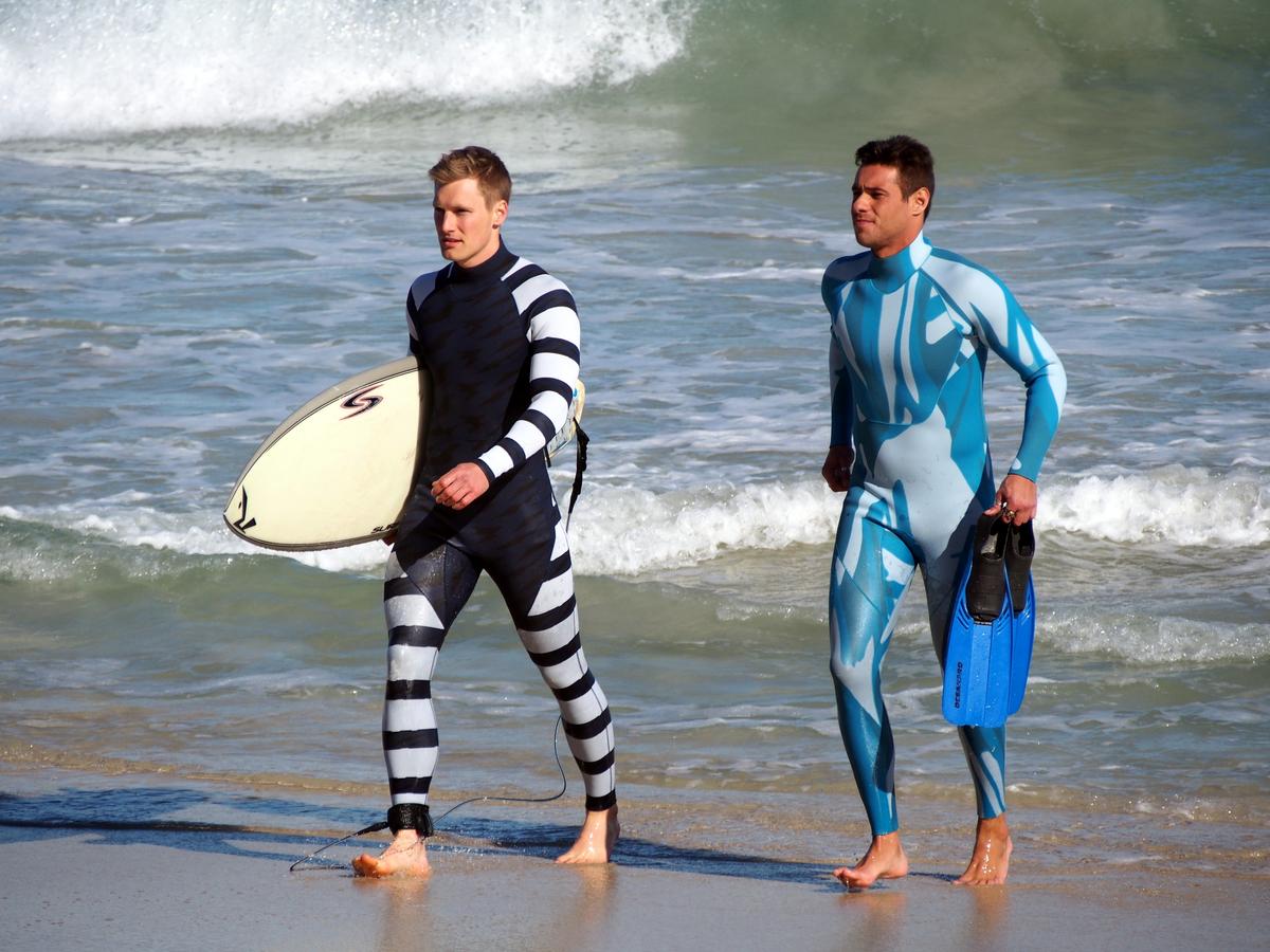 More Shark Research Needed as Dangerous Encounters Increase