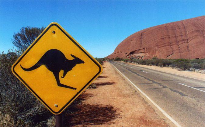 How to Make Your Australian Road Trip Awesome