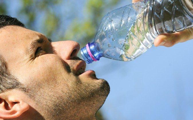BPA Exposure Linked to Changes in Stem Cells, Lower Sperm Production