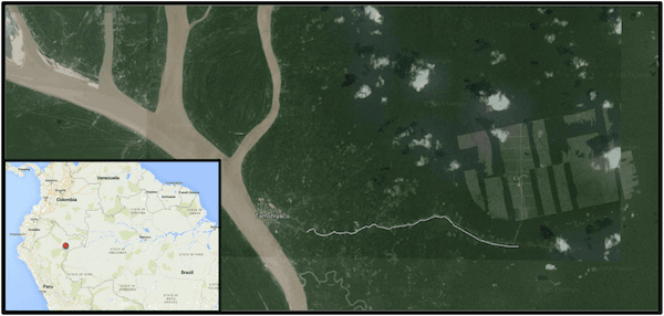 Company Chops Down Rainforest for ‘Sustainable’ Chocolate