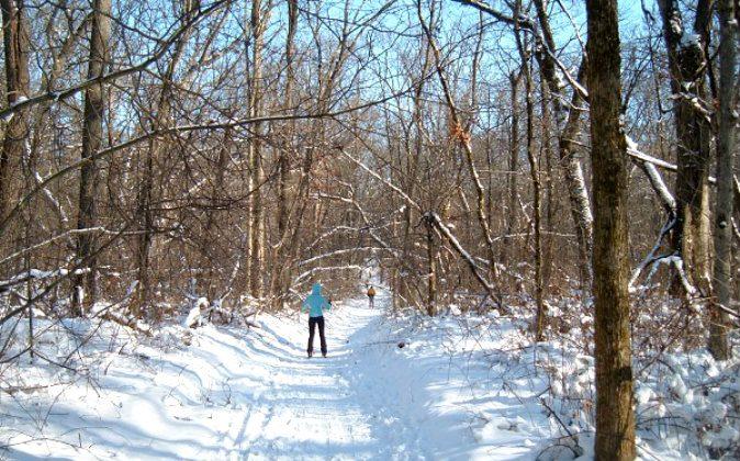 Chicagoland Cross-Country Skiing Destination