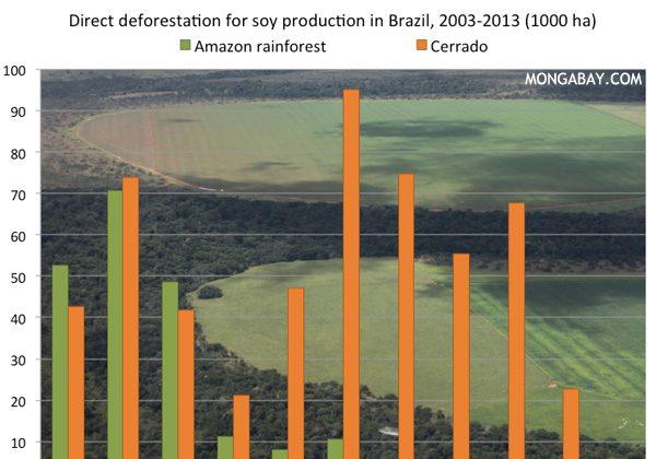 Brazil’s Soy Moratorium Reduced Amazon Deforestation