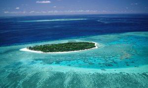 UNESCO Still Concerned About Great Barrier Reef, but Remains Off Danger List