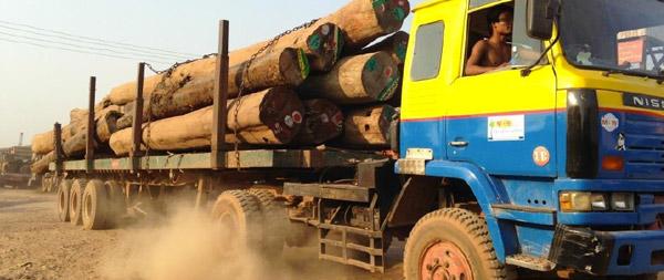  Illegal Logging in Burma: 155 Chinese Nationals Arrested