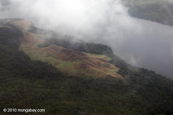 Deforestation May Be Ramping Up in Papua, West Papua