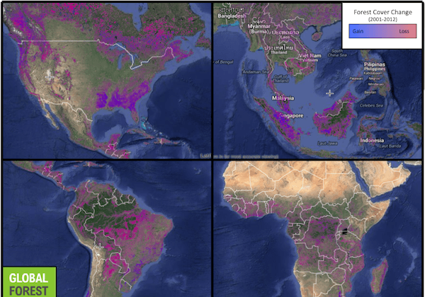 Tracking Deforestation Through Satellite Imagery