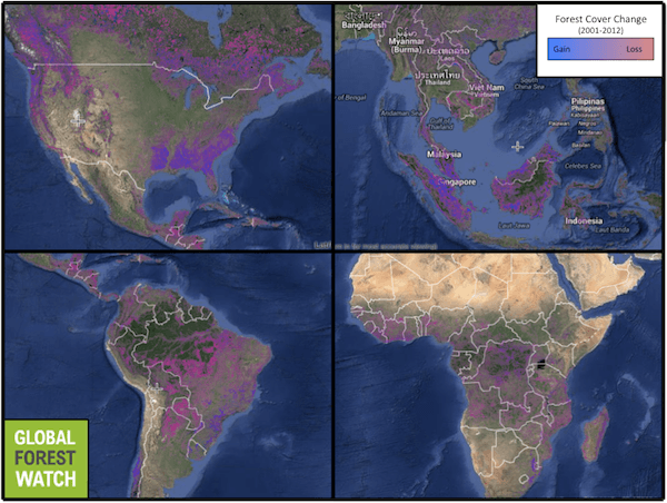 Tracking Deforestation Through Satellite Imagery