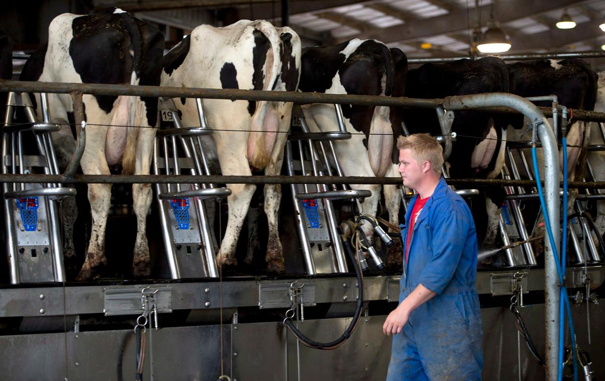 Dark Days Ahead for Supply Management