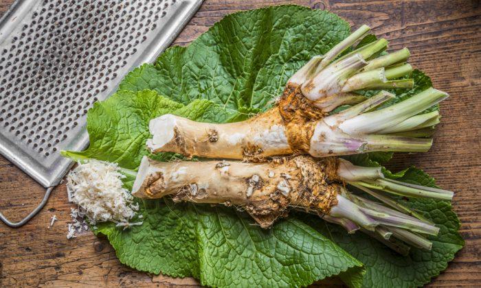 Horseradish: Nature's Decongestant