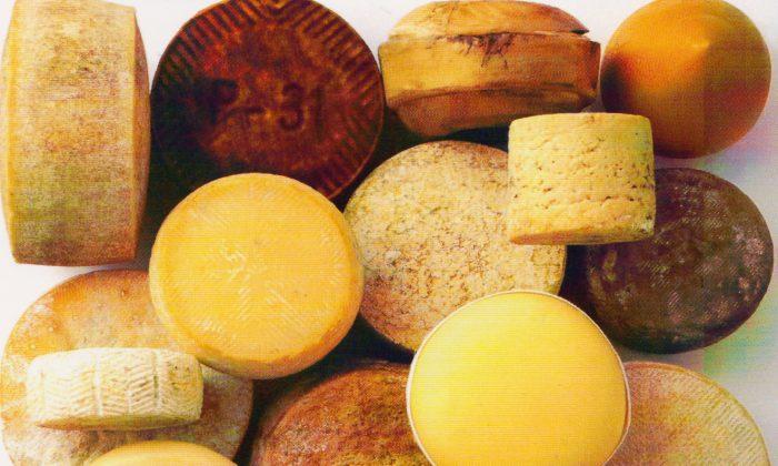 Spanish Wines and Cheeses: Matches Made in Heaven