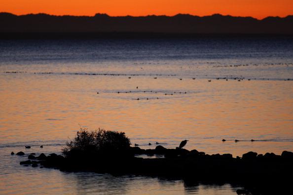 Visiting Elkhorn Slough – The Hidden Gem of California’s Central Coast