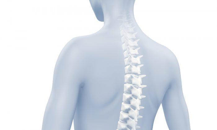 How to Keep a Healthy Spine