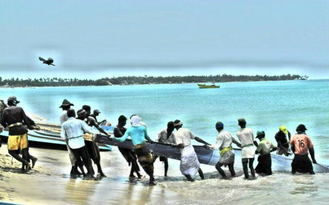 Traditional Net Fishing on the Beaches of Sri Lanka