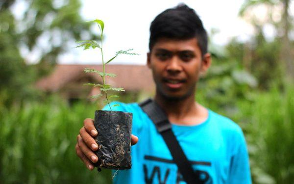 Local Community in Sumatra Protect Forest Timber
