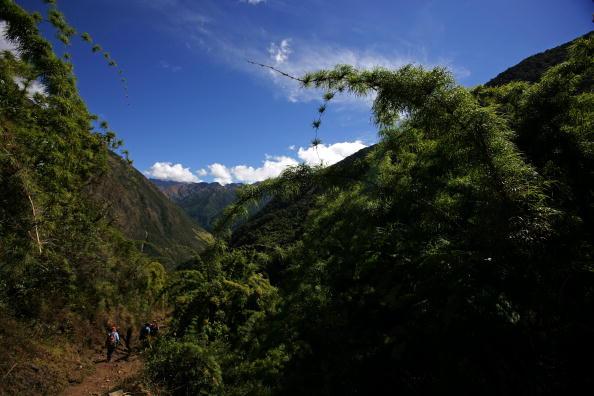 2k Hectares of Forest Destroyed by Cacao Company in Peru