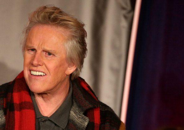 Gary Busey Involved in Malibu Car Accident