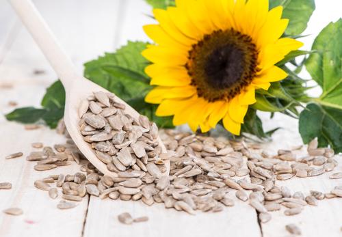 Sunflower seeds are high in Magnesium. (<a href="http://www.shutterstock.com/pic-161871221/stock-photo-fresh-sunflower-seeds-macro-shot-on-wooden-background.html?src=yfSFsIfPKPnGPmhxD1iXnQ-1-1&ws=1" target="_blank" rel="noopener">Shutterstock</a>)