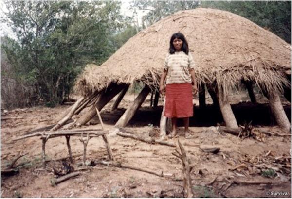 Deforestation Still a Threat to Communities in Paraguay