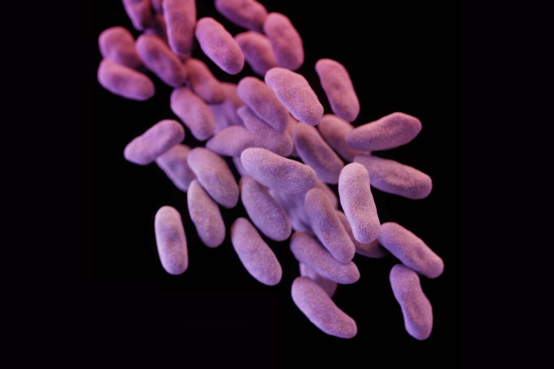 How Does One Get Infected With a ‘Superbug’?
