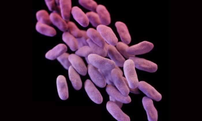 How Does One Get Infected With a ‘Superbug’?