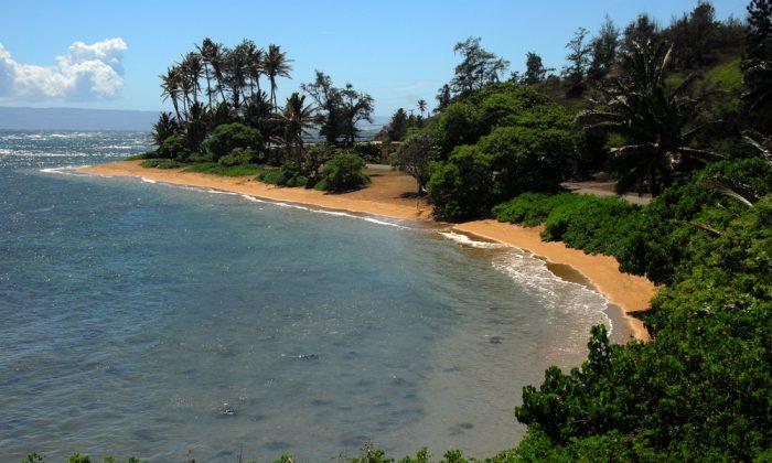 4 of the Best Islands to Visit in Hawaii