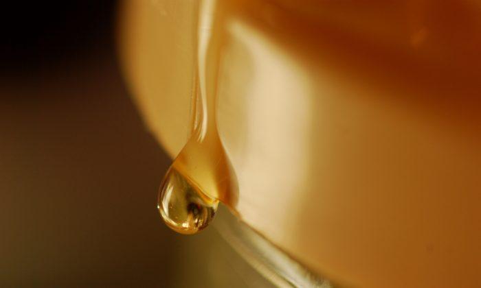 Study: Even Organic Honey Contains Toxic Glyphosate