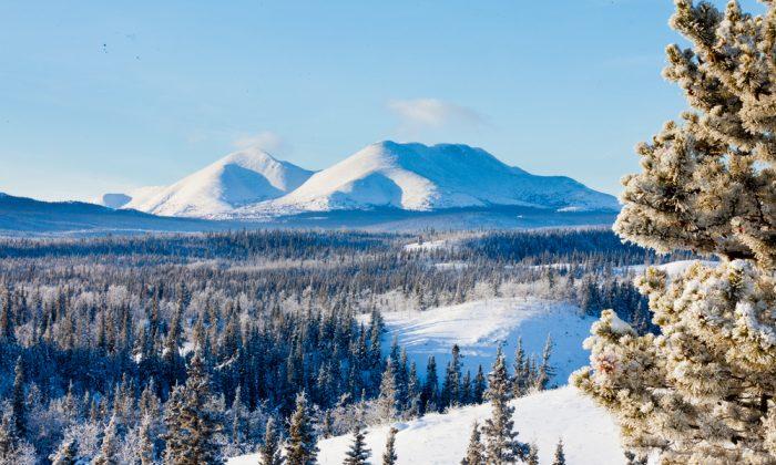 Top 10 Reasons to Winter in the Yukon… for Real!