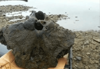 Fisherman Thinks he Hooked Woolly Mammoth Skull (Video)